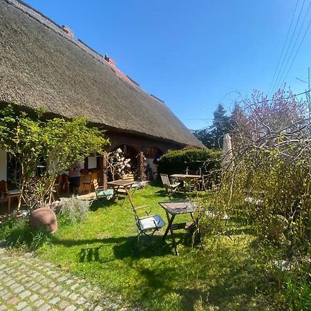 Fischerhaus Galenbeck Bed and Breakfast Εξωτερικό φωτογραφία