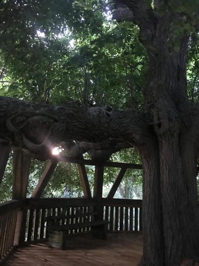 Fischerhaus Galenbeck Bed and Breakfast Εξωτερικό φωτογραφία